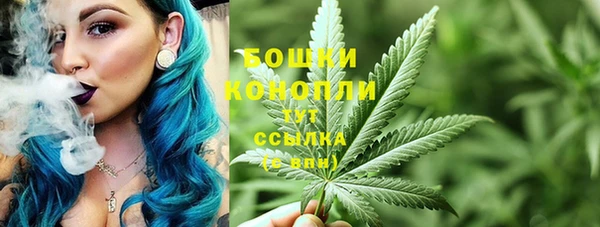 дживик Ветлуга